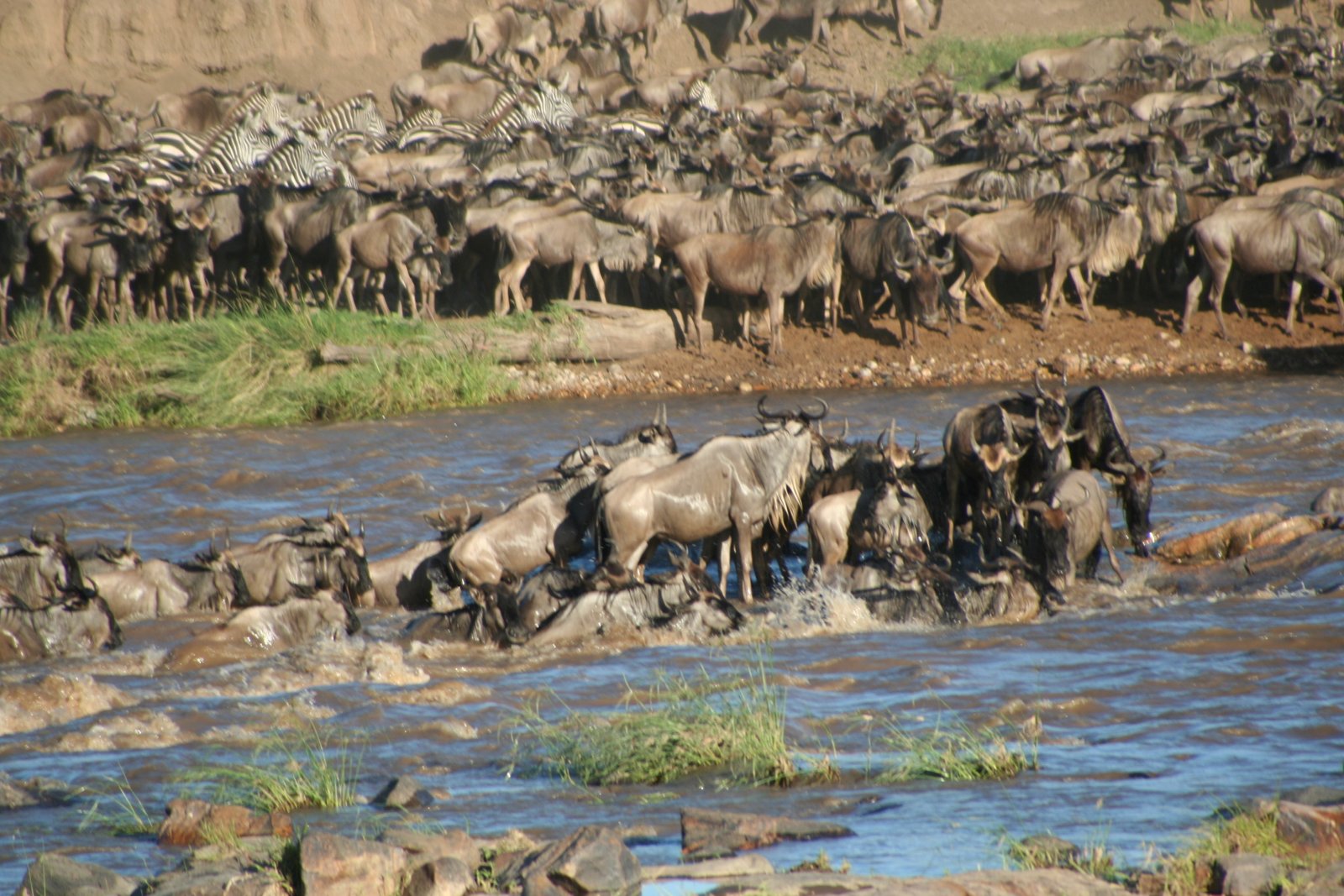 5-Days Tanzania Northern Circuit Safari Itinerary