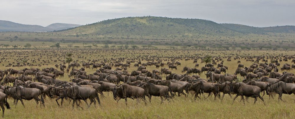 4 day camping tour in Tanzania