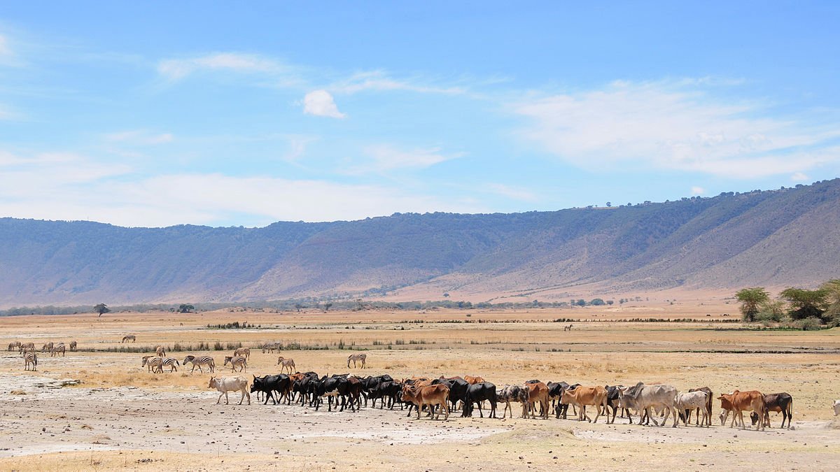 3 day Private  tour photo