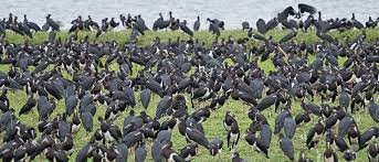 5-Days Tanzania Northern Circuit Safari Itinerary photo