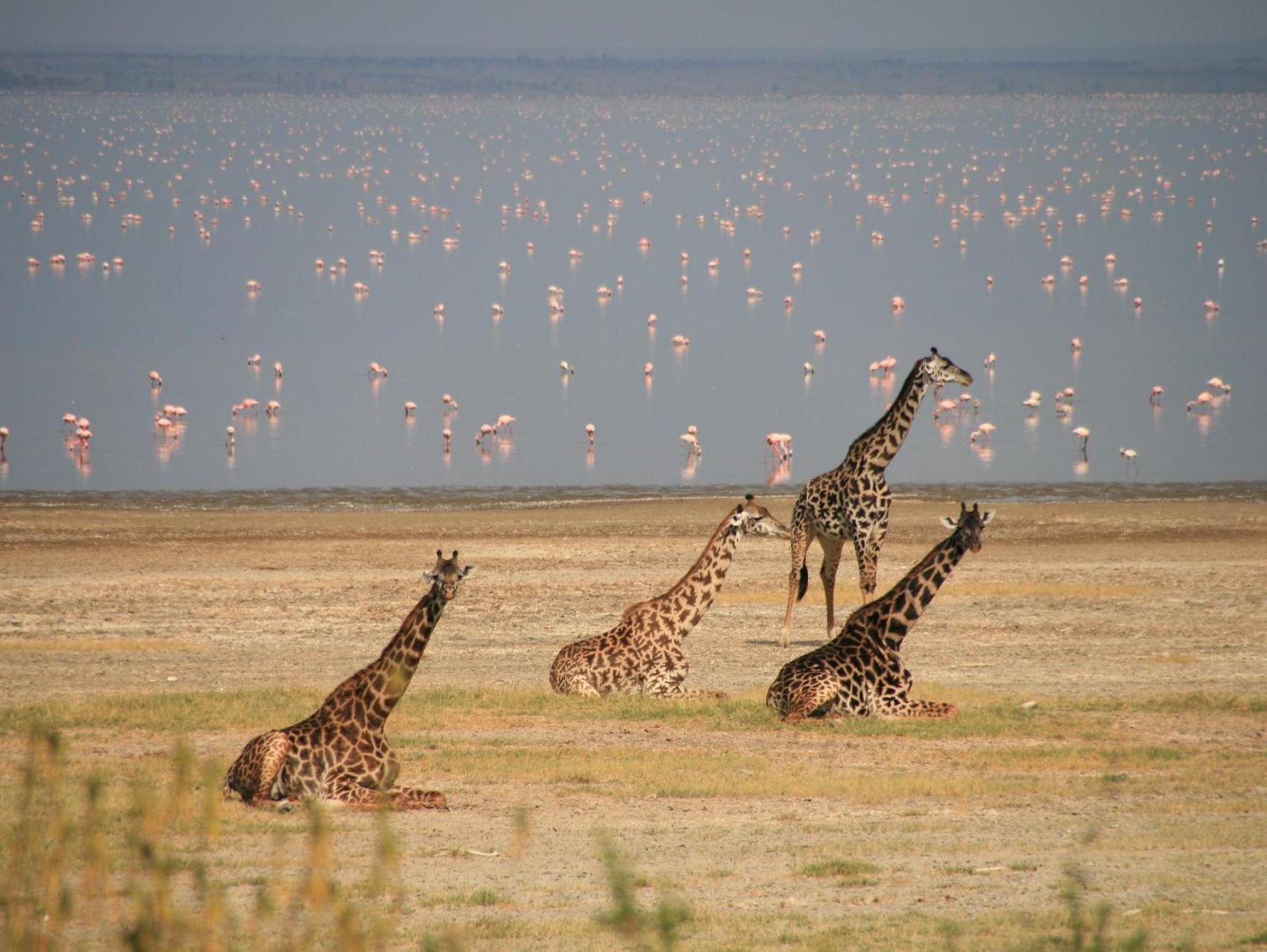 4 day camping tour in Tanzania photo
